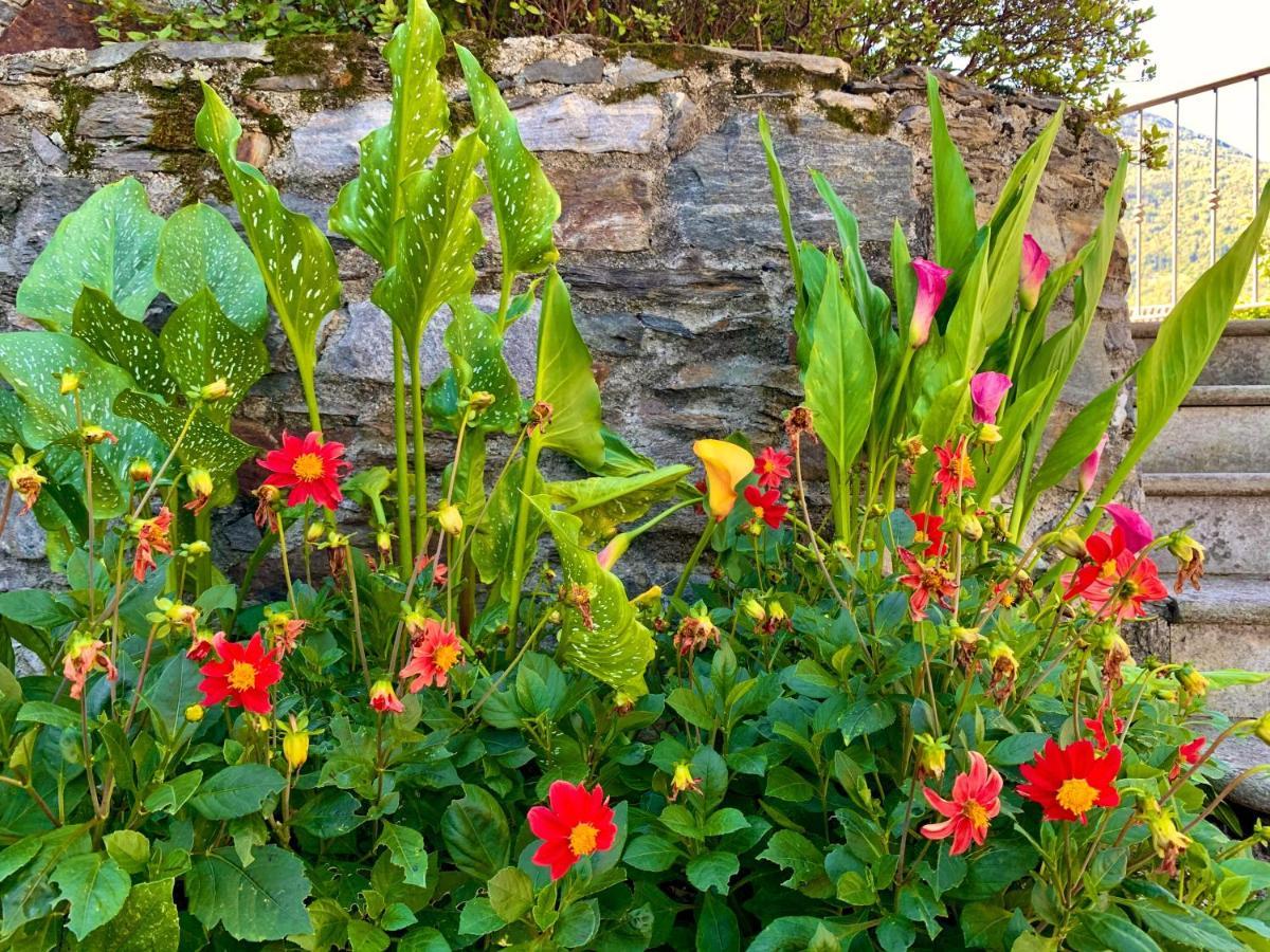 Il Granaio - Molino Maufet Mühle - Garden View Villa